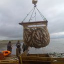 ���� �������, �����, 54 ���� - ��������� 15 ������� 2011 � ������ ���� ����������