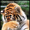 ���� ���, �����, 40 ��� - ��������� 13 ������� 2013 � ������ ���� ����������