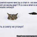 ���� ���������, ����������, 48 ��� - ��������� 3 ������� 2010 � ������ ���������