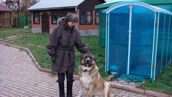 : Igor Fomichyov, 74 , 