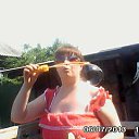 ���� �������, ������������, 44 ���� - ��������� 6 ���� 2013 � ������ ���� ����������