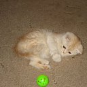 ���� ~��~, ������������, 38 ��� - ��������� 5 ������� 2010 � ������ ���� ����� �����