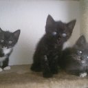 ���� Natalya, ��������, 56 ��� - ��������� 11 ������� 2011 � ������ ����� ����, ���� � &amp;�