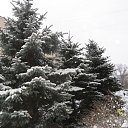 ���� �ir@ge))) ���������))), �������, 48 ��� - ��������� 30 ������� 2009 � ������ ������� ����� � ��� �����������