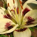 ���� ������, ������, 63 ���� - ��������� 5 ������� 2011 � ������ ������-���� �����-2�