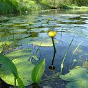 ���� ��������, �����-���������, 56 ��� - ��������� 14 ����� 2012