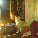 ���� ������, �����, 53 ���� - ��������� 19 ������ 2010 � ������ �������