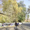  , , 45  -  21  2012   ߻