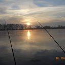 , , 52  -  13  2012    
