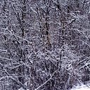 ������ ����... �� ������� ��������