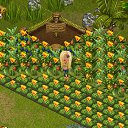 ���� �������, ����������, 36 ��� - ��������� 4 ������� 2012 � ������ �Tropikania�