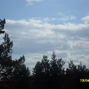  , , 51  -  18  2011   2011.