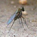 ���� ������, ����������� - ��������� 20 ������ 2010 � ������ ����