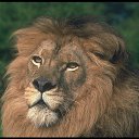 ���� �����, ������ - ��������� 28 ������ 2013 � ������ ���� ����������