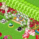 ���� Amy, ����, 42 ���� - ��������� 5 ����� 2011 � ������ ��������