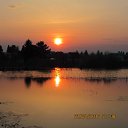 ���� �������, ���, 50 ��� - ��������� 15 ���� 2013 � ������ ���� ����������