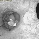 ���� ������, ��������, 44 ���� - ��������� 8 ������ 2011