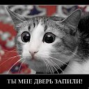 ���� Katoteshi, �������, 45 ��� - ��������� 11 ������� 2011 � ������ ������
