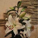 ���� ����, �����, 54 ���� - ��������� 19 ������� 2011 � ������ �����