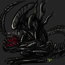  Xenomorph, , 53  -  2  2011   