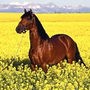 ���� ���, �������, 67 ��� - ��������� 16 ������� 2011 � ������ ��������))�