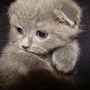 ���� Super Star �����, ������������, 50 ��� - ��������� 21 ������� 2012 � ������ ���-���