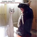 ���� ������, �������, 56 ��� - ��������� 23 ������ 2013