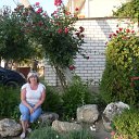 ���� ������, �����, 60 ��� - ��������� 20 ������� 2011 � ������ ���� ����������