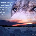 ���� ������, �������������, 48 ��� - ��������� 24 ���� 2012 � ������ ���� ����������