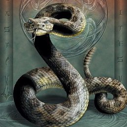 ������������ �����, ������, 56 ���