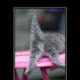 ���� ������, �����������-��-�����, 39 ��� - ��������� 26 ��� 2012