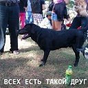 ���� ��������, ������, 40 ��� - ��������� 14 ���� 2013 � ������ ����� ))�