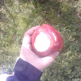 ���� Rakhimov, �������, 47 ��� - ��������� 10 ���� 2012