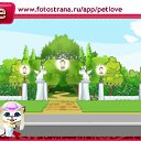  , , 30  -  19  2010   PetLove