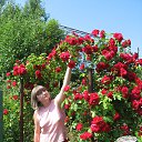 ��� ������� ������� �� ������� ���� ����������