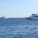 ���� ������, ���������, 62 ���� - ��������� 17 ��� 2011 � ������ �������