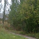 ���� ���������, ������, 38 ��� - ��������� 1 ������ 2013