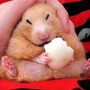 ���� ����� - ���������� ��������!!!, �����������, 56 ��� - ��������� 4 ������� 2009 � ������ ����������� :-)�