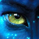 ���� &deg;&bull;�����&bull;&deg;&trade;, ������ - ��������� 13 ������� 2012 � ������ �������