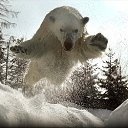 ���� ������, ���������, 46 ��� - ��������� 7 ������ 2012 � ������ ���� ����������