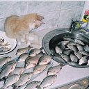 ���� Vytalii, ������ ��������, 59 ��� - ��������� 7 �������� 2010 � ������ �������!�