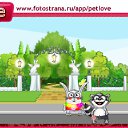 ���� ������, ��������, 52 ���� - ��������� 19 ��� 2011 � ������ �PetLove�
