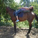  ~_o~, , 62  -  28  2011   0 -   ...