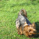  , , 40  -  27  2012    28.04 - 01.05.2012