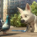 ���� "@����", �����-���������, 25 ��� - ��������� 2 ���� 2010 � ������ �����һ