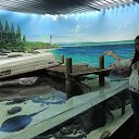 ���� ���������, ������, 35 ��� - ��������� 28 ��� 2013 � ������ ���� ����������