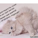 ���� I Rishka I Graiu, ���� - ��������� 17 ������ 2009 � ������ �@~$~@~$~@�