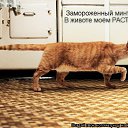 ���� Irisk@, ������ - ��������� 22 ���� 2011 � ������ �������