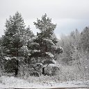 ���� �������, ������, 43 ���� - ��������� 20 ��� 2012