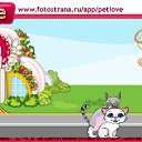  , , 62  -  10  2011   PetLove